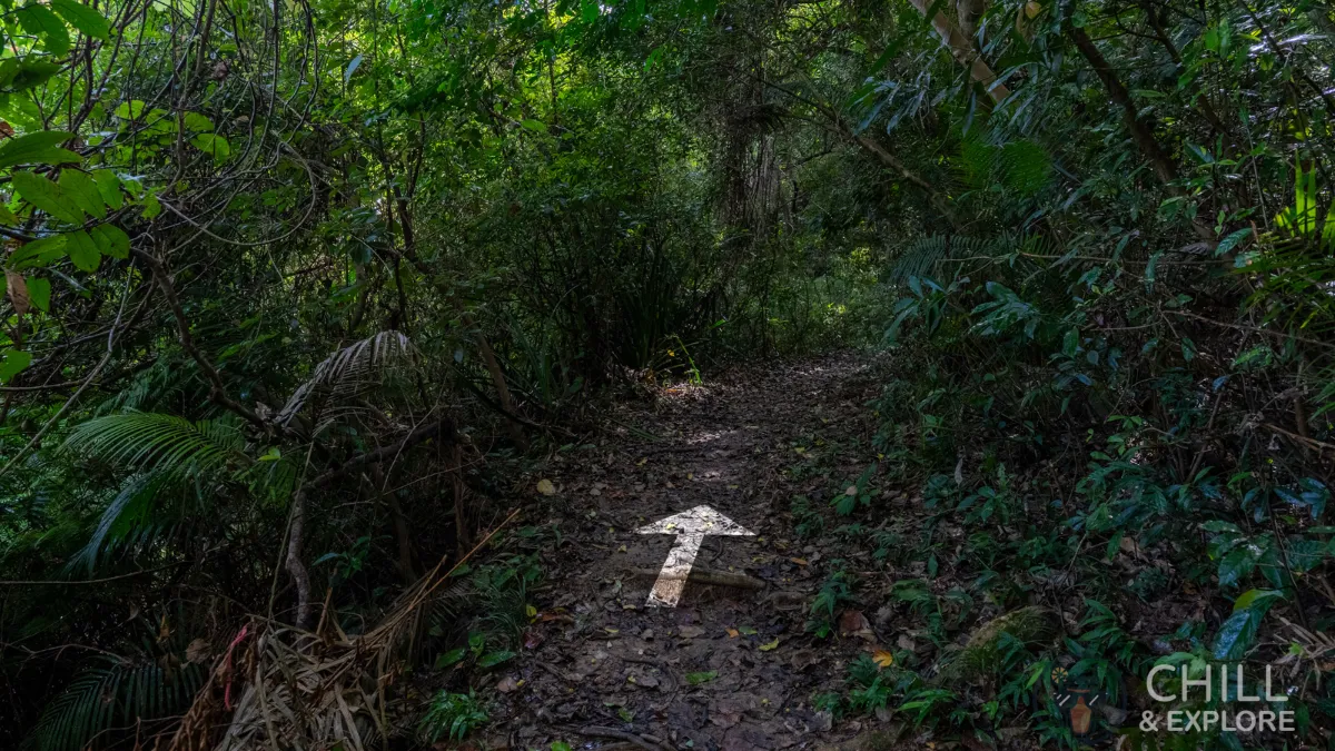 Bride's Pool Waterfall Hiking Directions