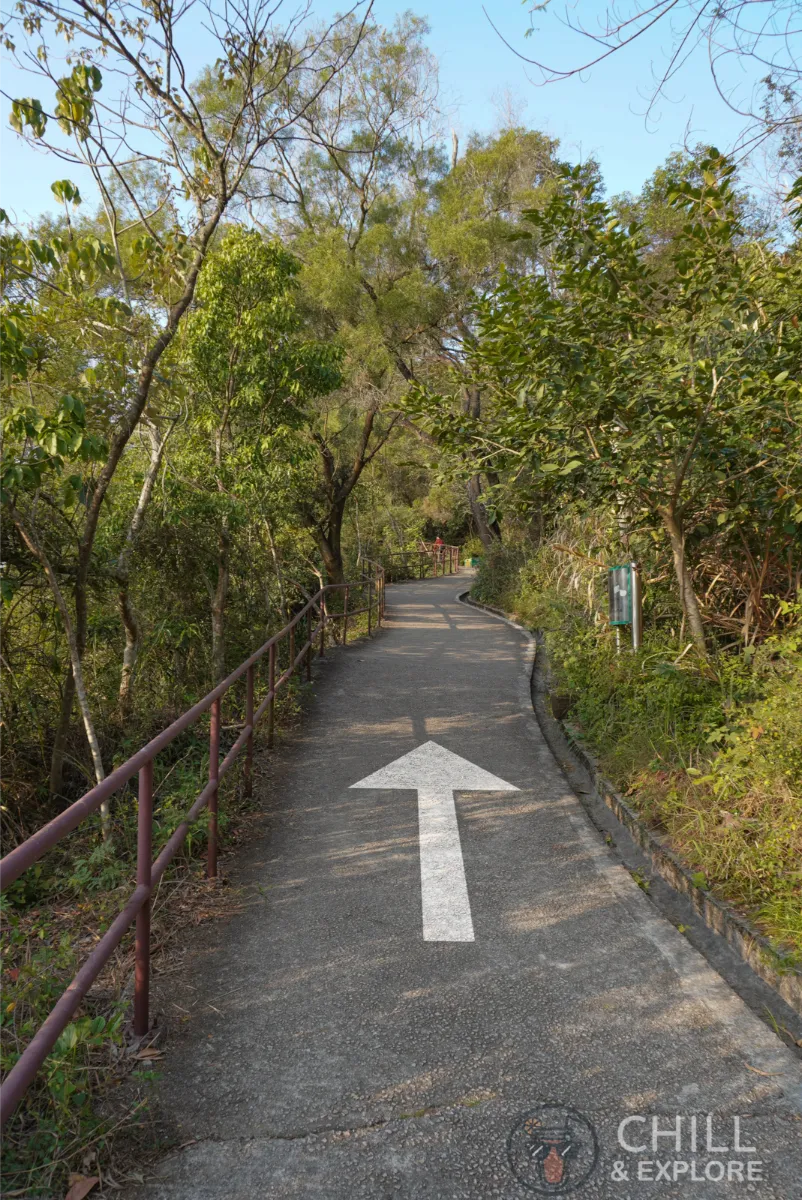 Devil's peak hike Hong Kong - directions
