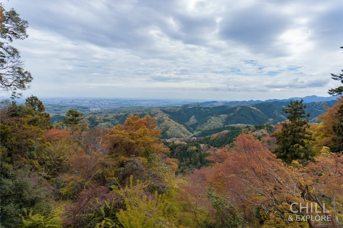 View from Mount Takao
