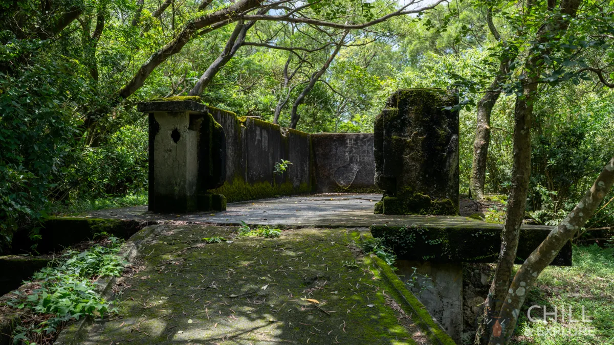 pinewood battery history