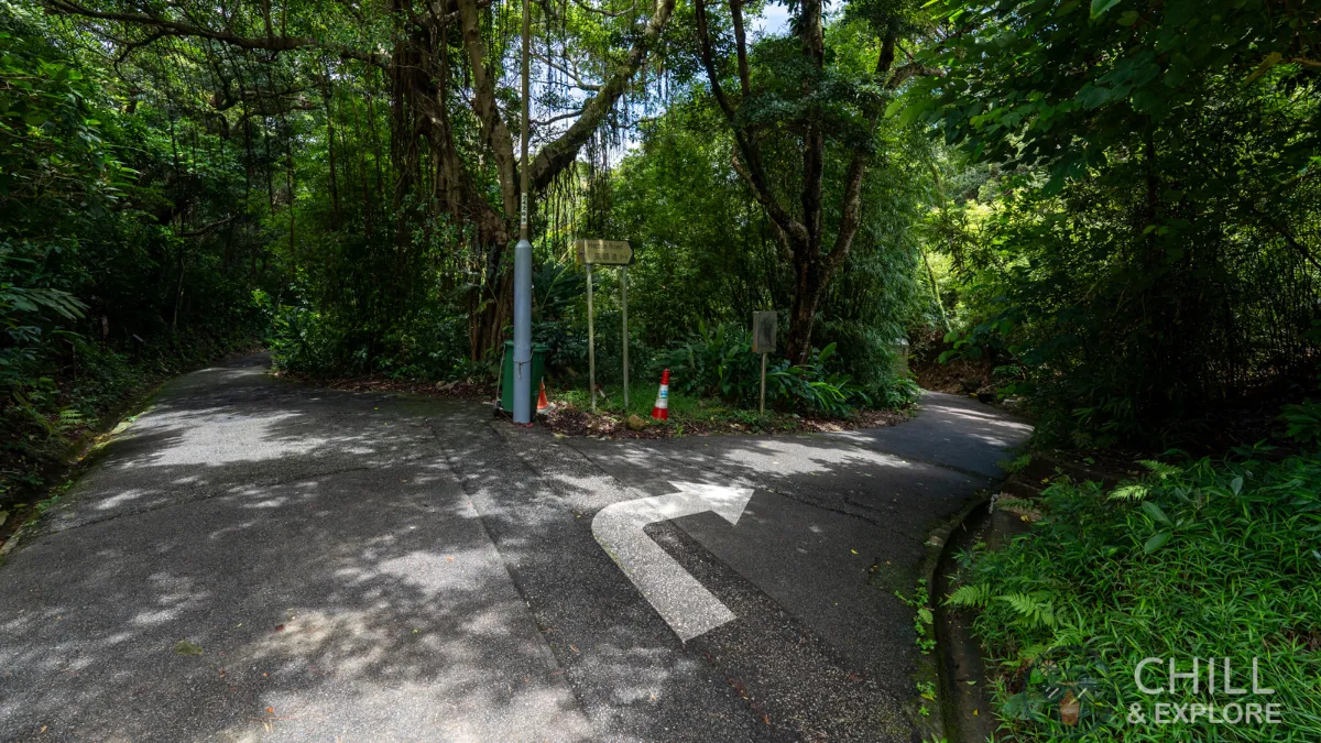 Hatton Road