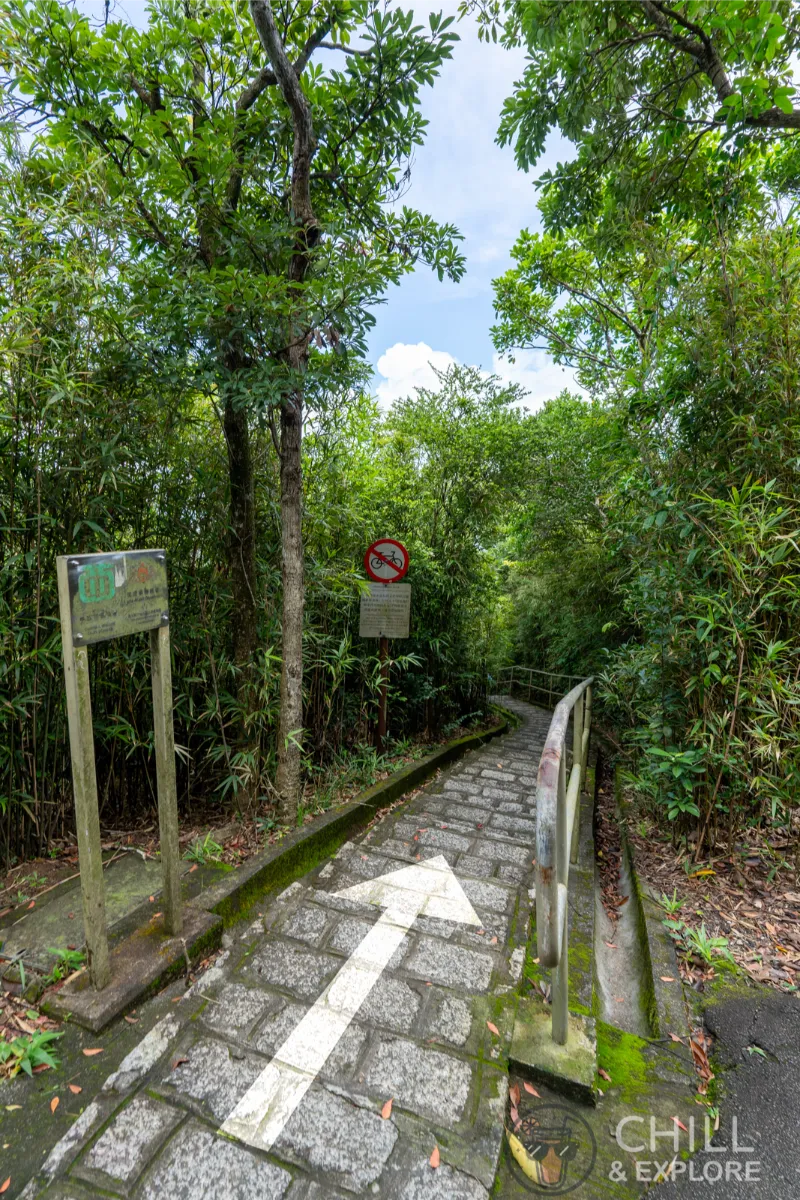pinewood battery directions
