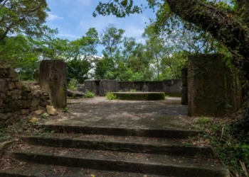 Pinewood Battery