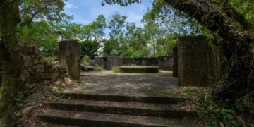 Pinewood Battery