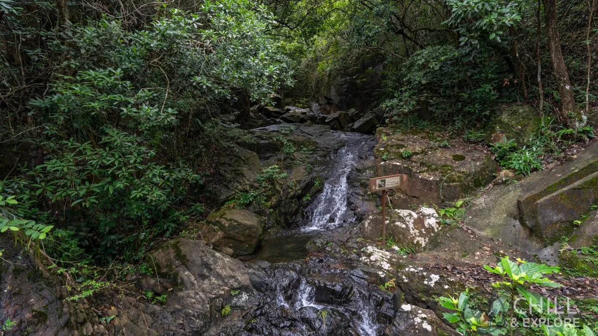stream on rocks