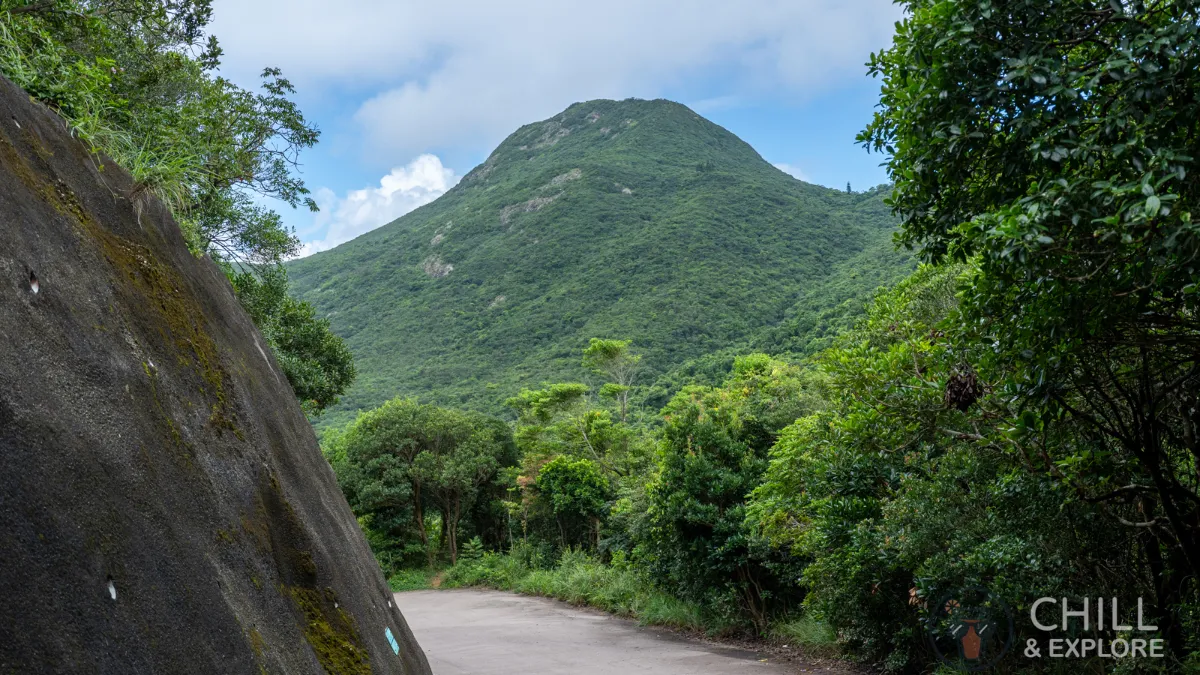 Mount High West viewed from Pok Fu Lam Reservoir Road