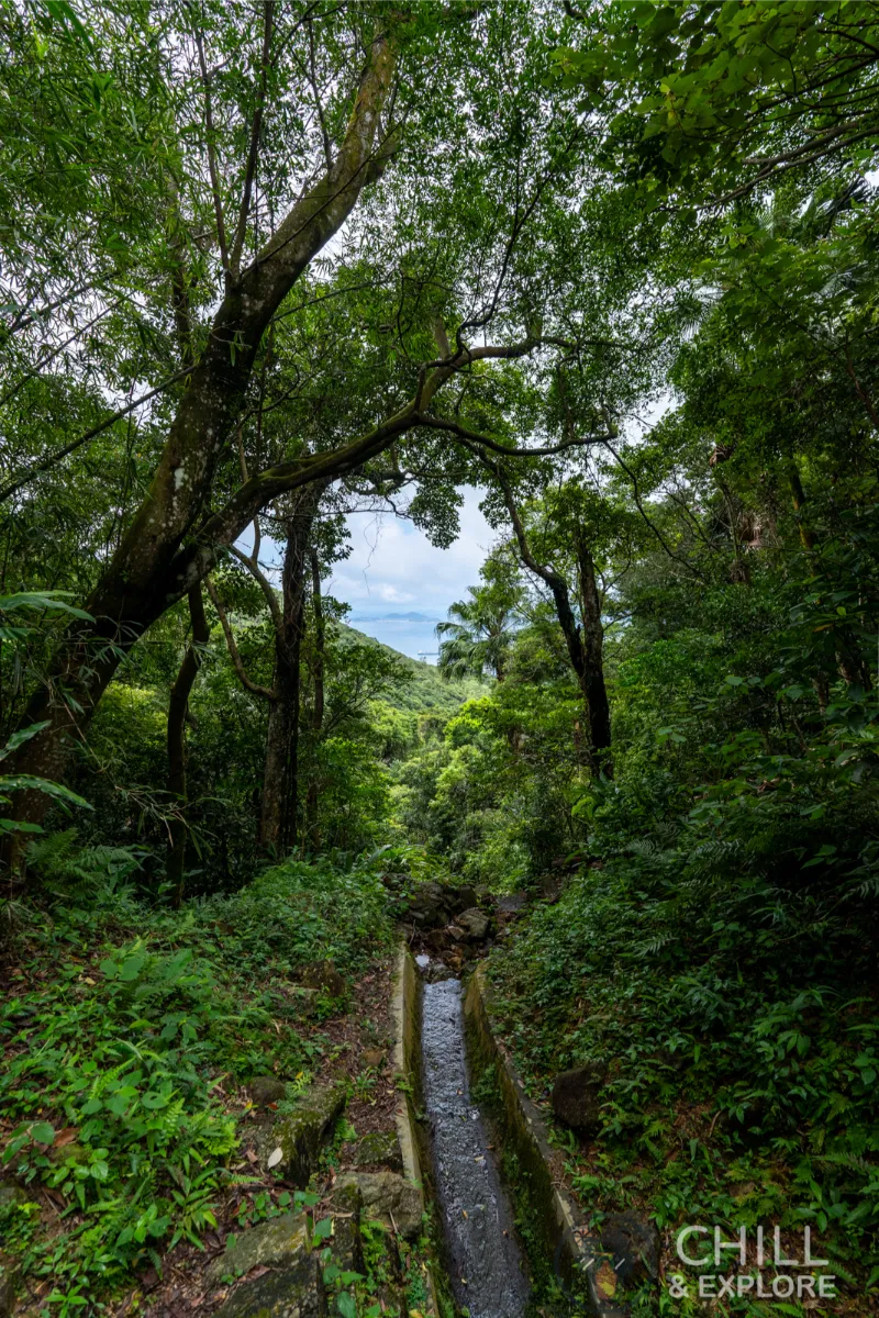 Seaview from pok fu lam reservoir road hike