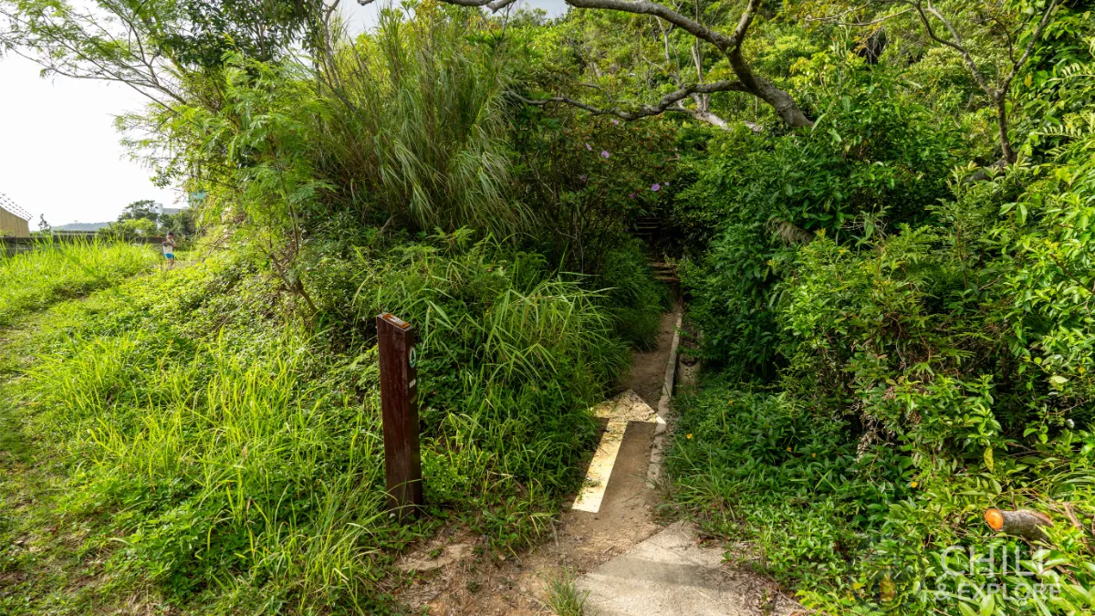 Pok Fu Lam Reservoir to the peak hike directions