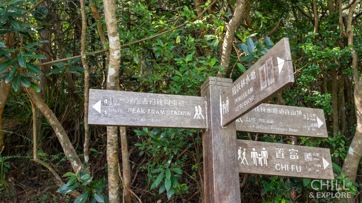 Pok Fu Lam Reservoir to the peak hike directions