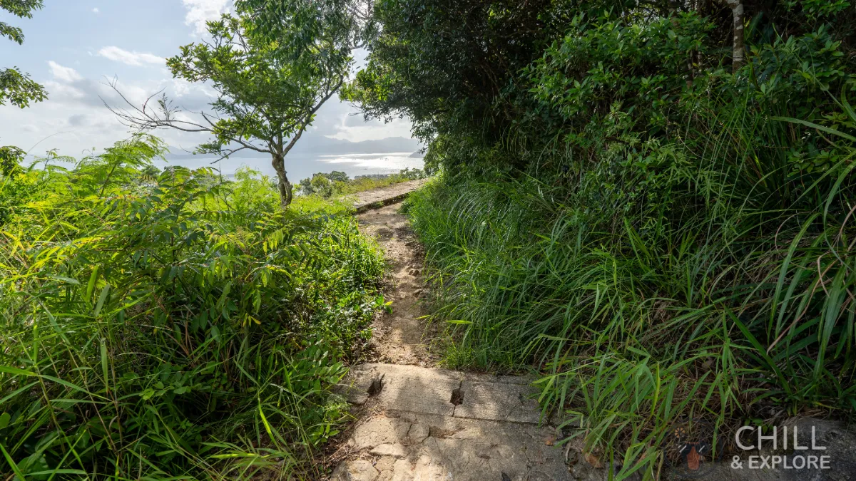 Pok Fu Lam Reservoir to the peak hike directions