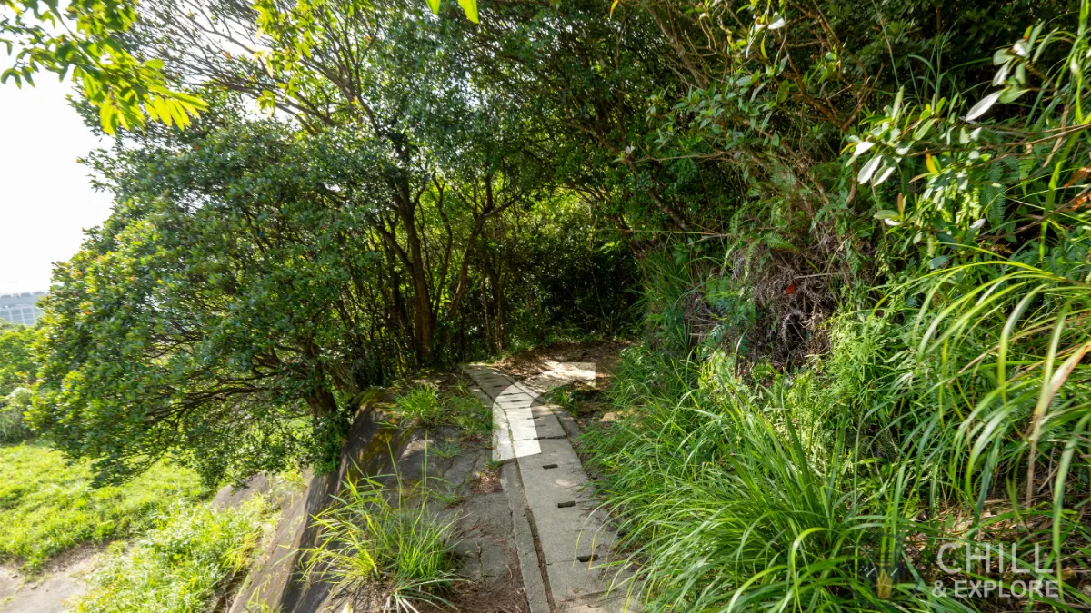 Pok Fu Lam Reservoir to the peak hike directions