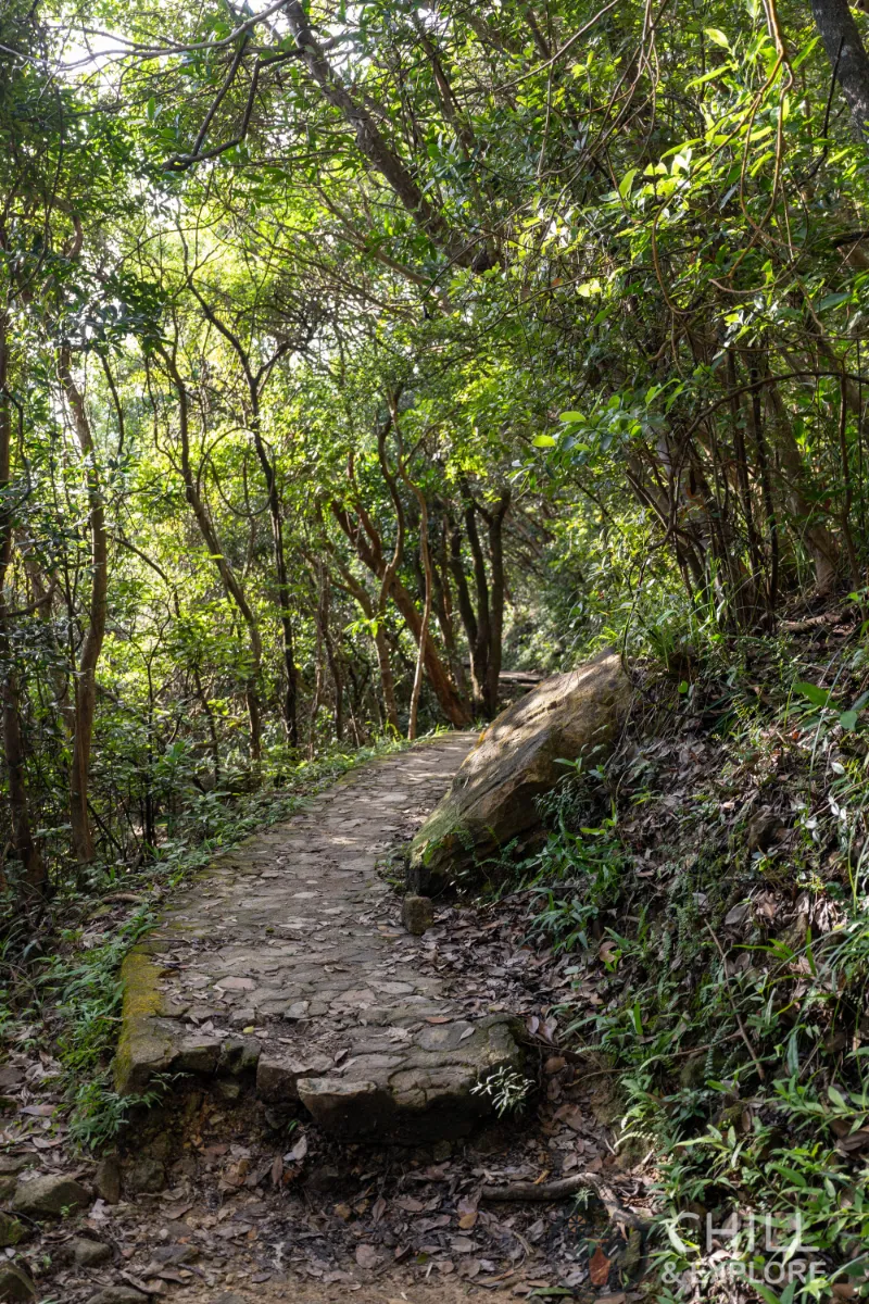 Pok Fu Lam Reservoir to the peak hike directions