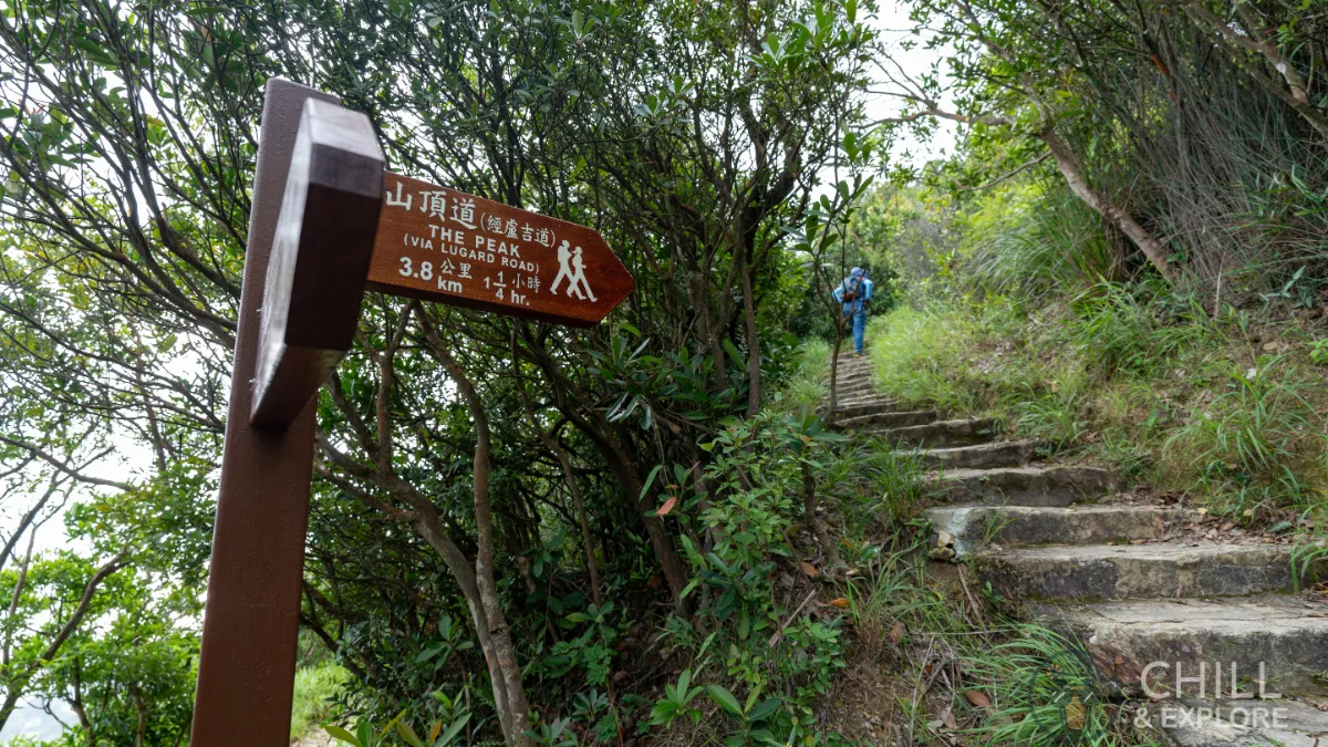 Pok Fu Lam Reservoir to the peak hike directions