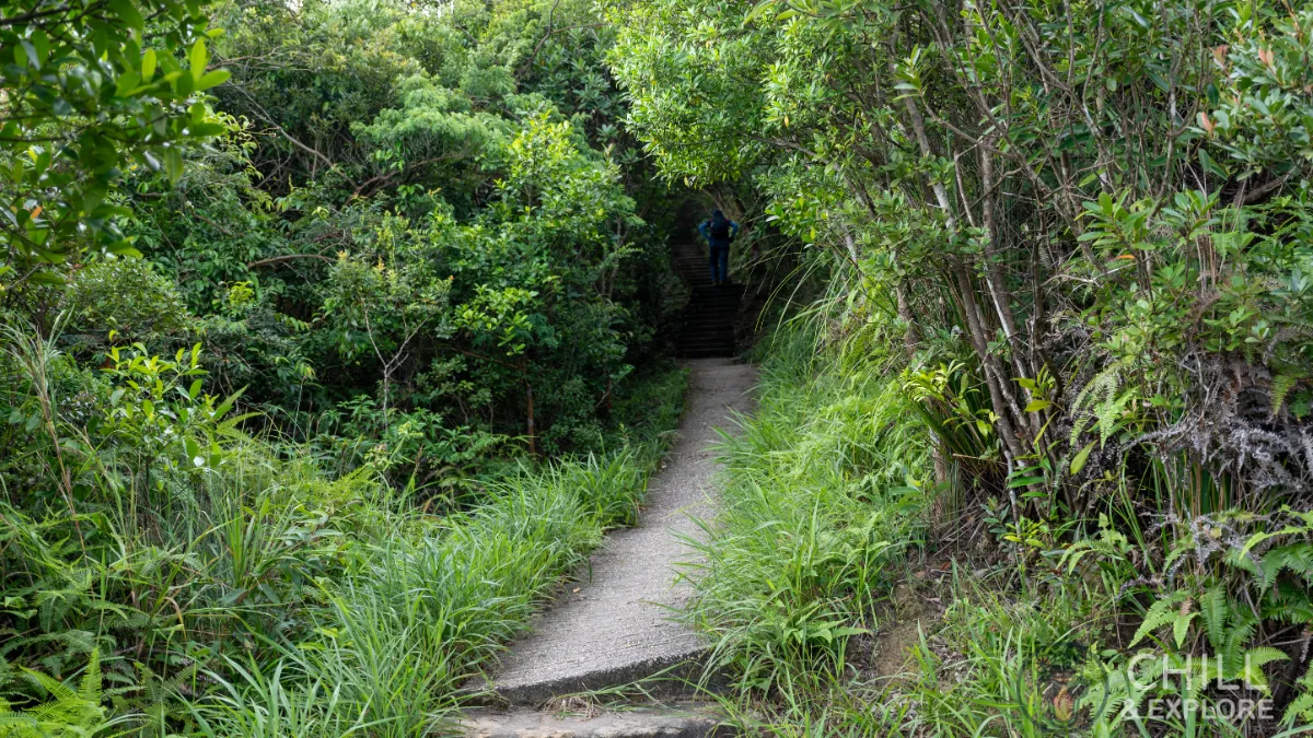 Pok Fu Lam Reservoir to the peak hike directions
