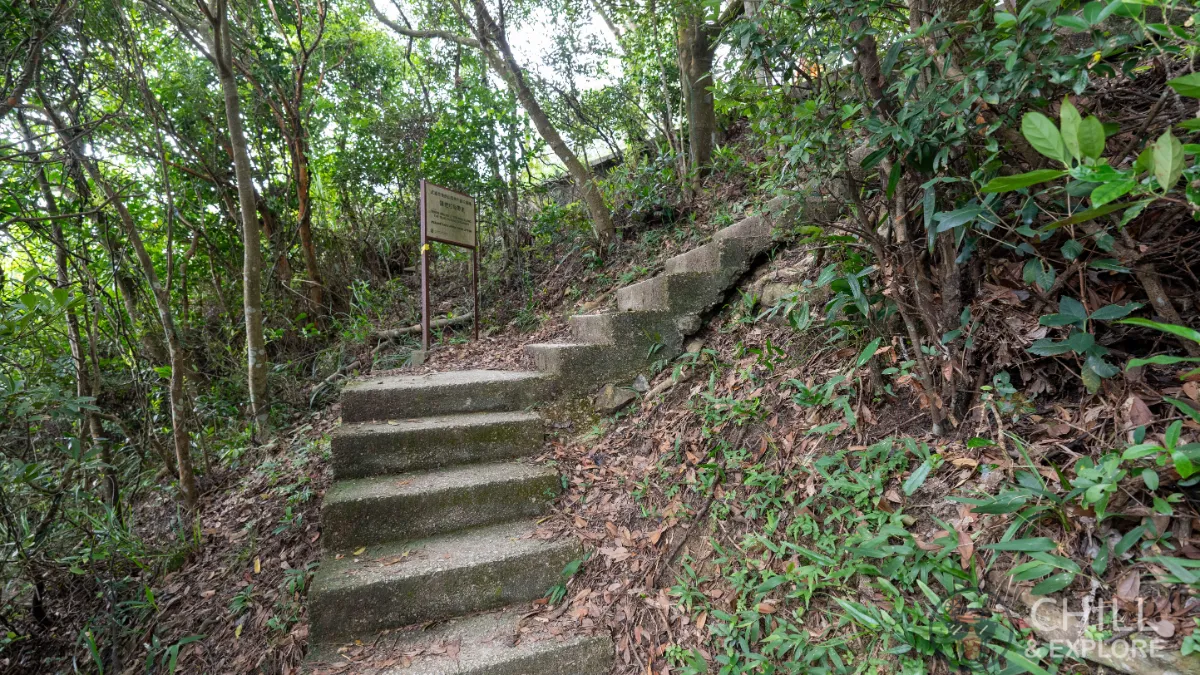 Pok Fu Lam Reservoir to the peak hike directions