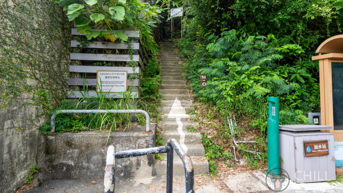 Pok Fu Lam Reservoir to the peak hike