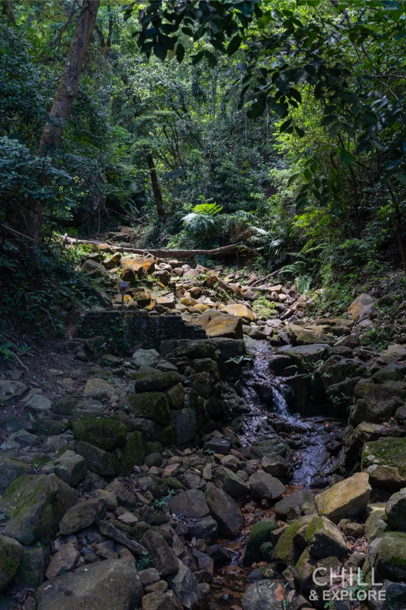 stream on morning trail