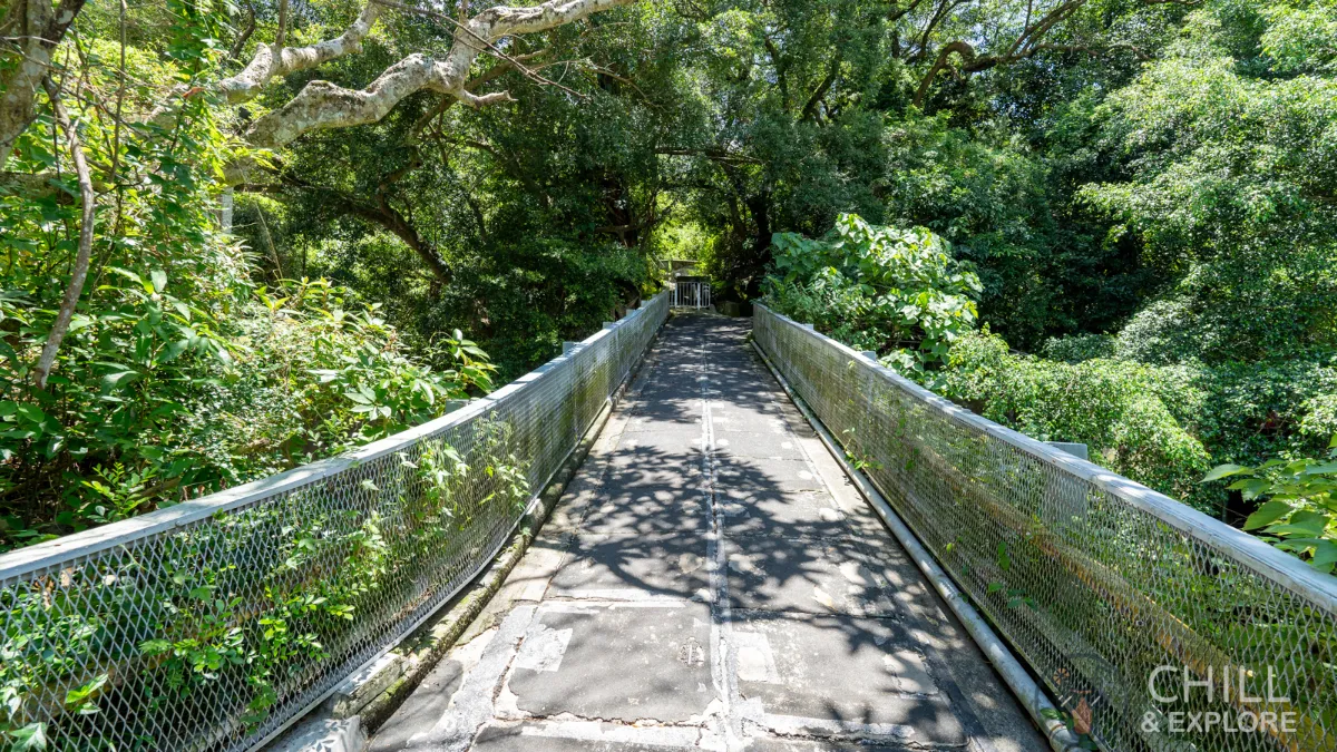 Morning trail bridge hatton road