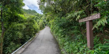 morning trail, Sai Ying pun to the Peak