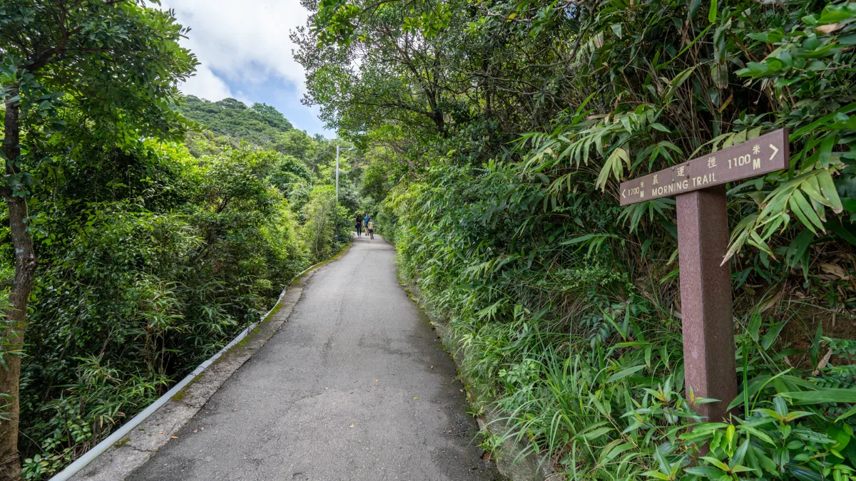 morning trail, Sai Ying pun to the Peak