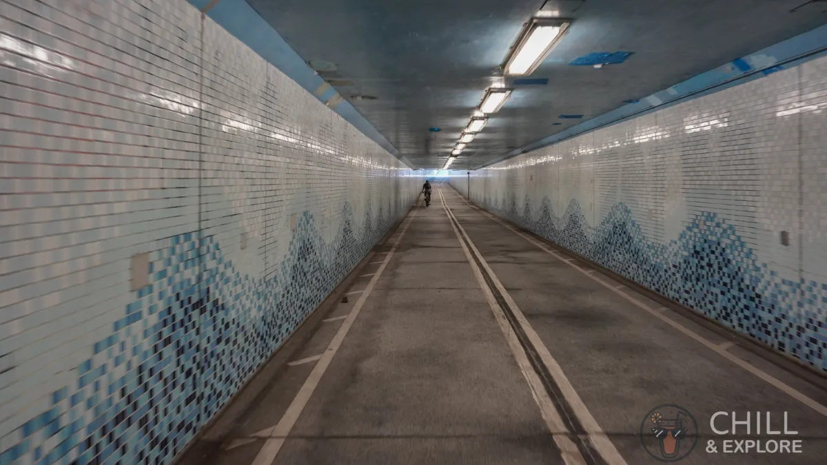 Bicycle subway along Science Park Road