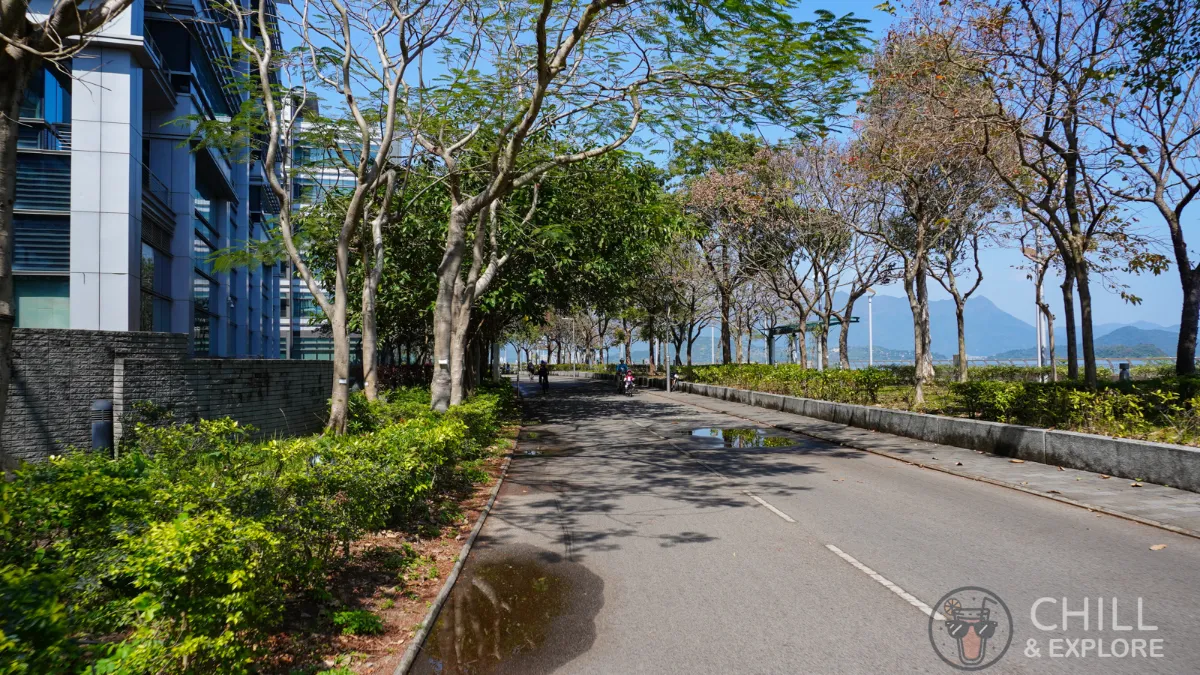 Cycling path to Science Park