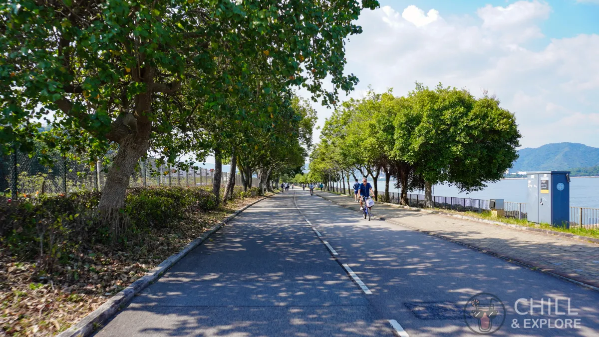 Cycling along Tolo Harbour