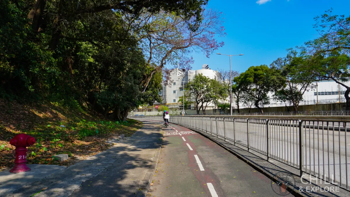 Cycling on Ting Kok Road bike path