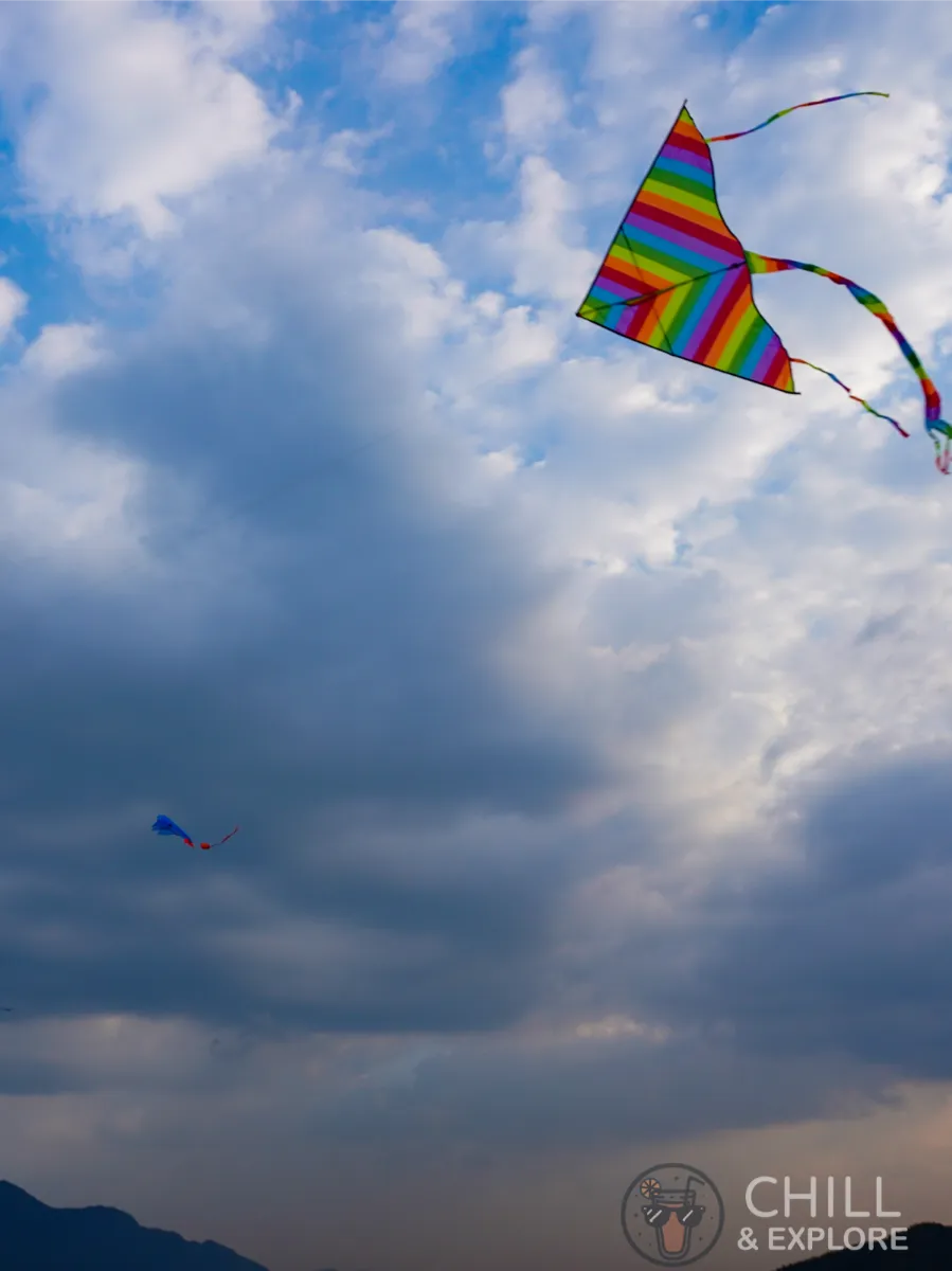 Kites flown at Plover Cove Reservoir Dam