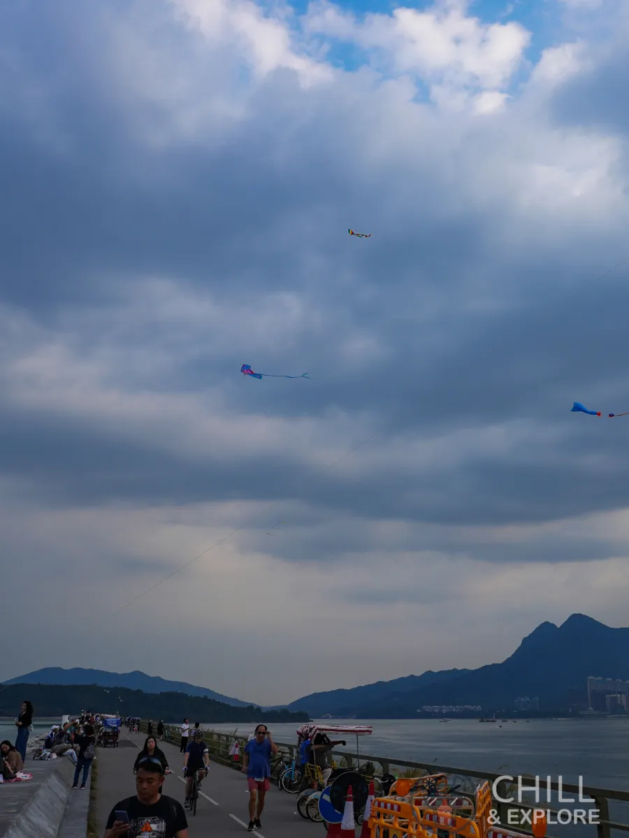 Kites flown at Plover Cove Reservoir Dam