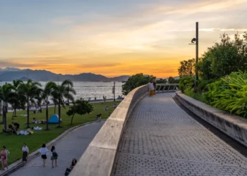 West Kowloon Cultural District View