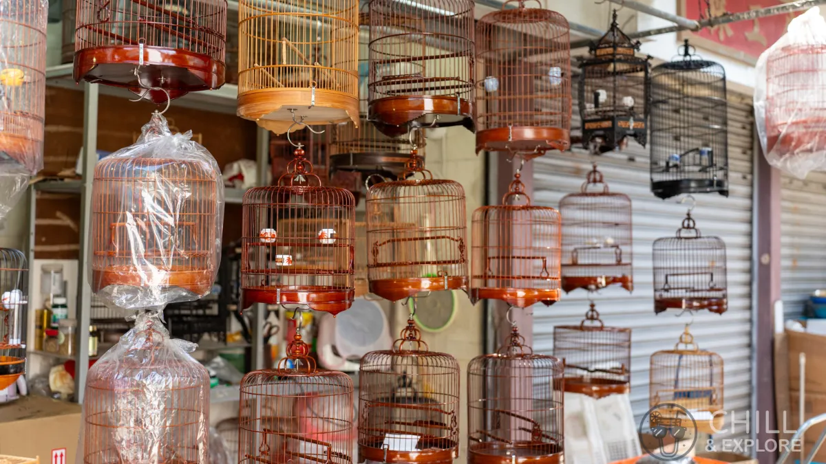 cages for sale at Yuen Po Street Bird Garden