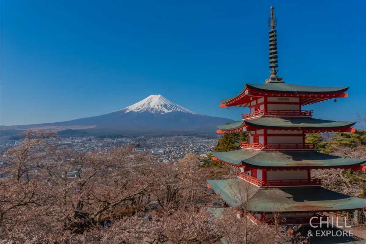 Iconic Chureito Pagoda with Mt Fuji and Sakura