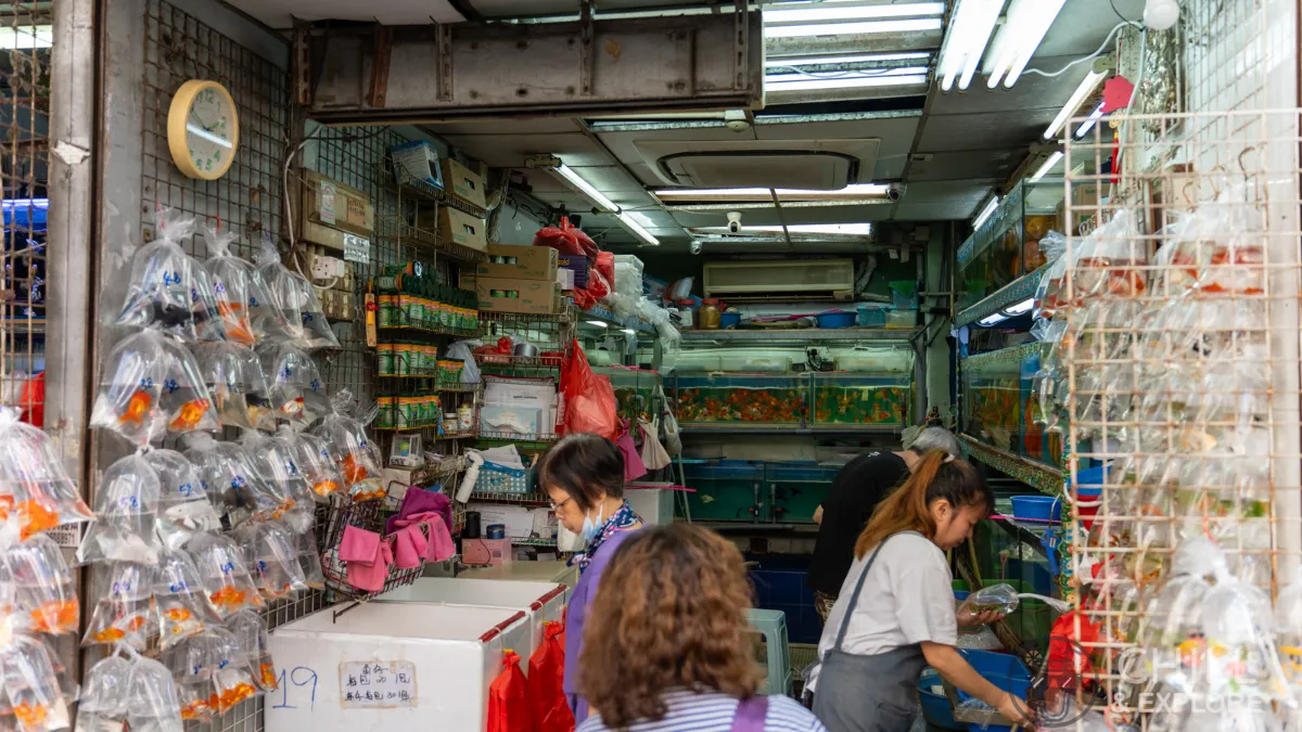 Mong Kok Goldfish Market shop