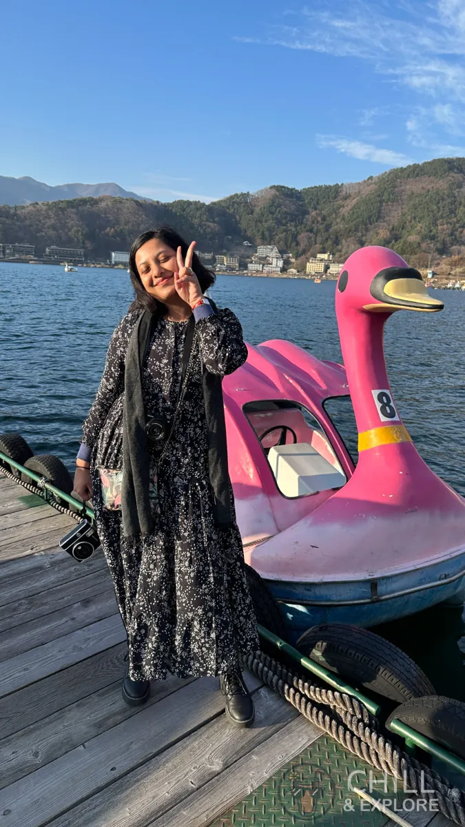 Pink Swan Boat at Lake Kawaguchi