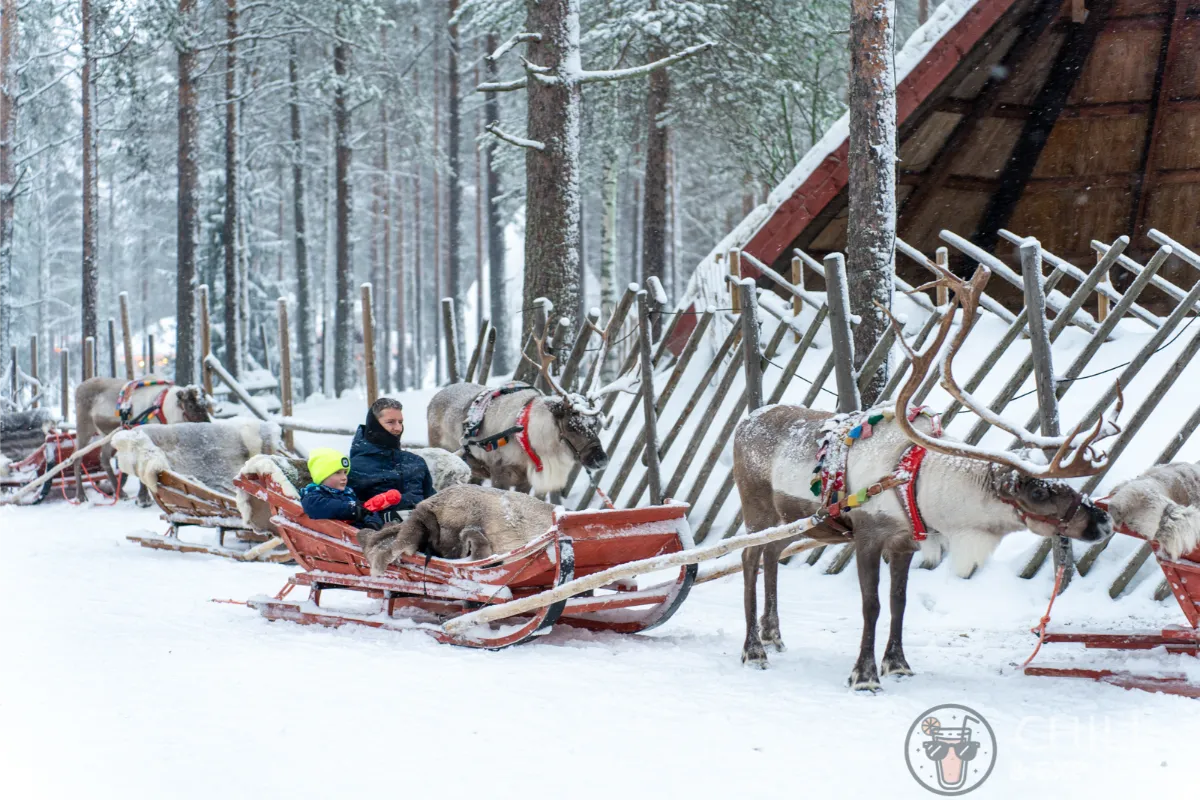 Reindeer riding